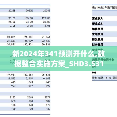 新2024年341预测开什么,数据整合实施方案_SHD3.531