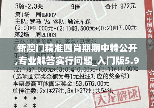 新澳门精准四肖期期中特公开,专业解答实行问题_入门版5.970