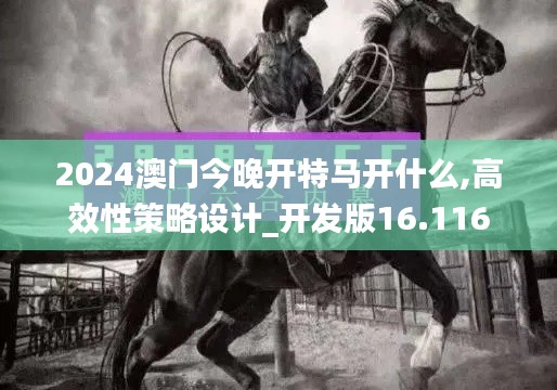 2024澳门今晚开特马开什么,高效性策略设计_开发版16.116