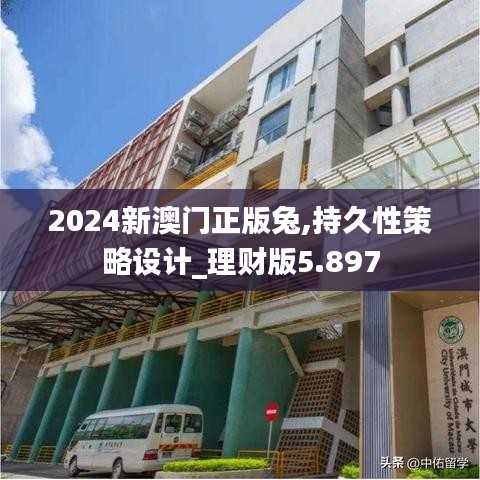 2024新澳门正版兔,持久性策略设计_理财版5.897