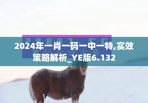 2024年一肖一码一中一特,实效策略解析_YE版6.132