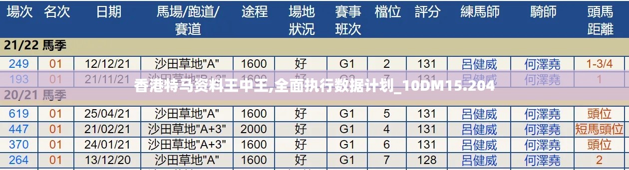 香港特马资料王中王,全面执行数据计划_10DM15.204