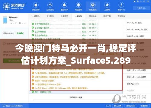 今晚澳门特马必开一肖,稳定评估计划方案_Surface5.289