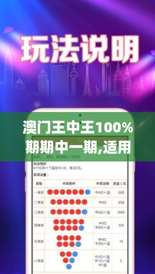 澳门王中王100%期期中一期,适用性策略设计_网页版110.845