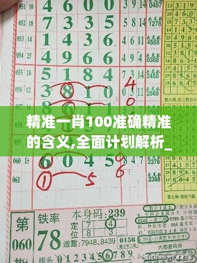 精准一肖100准确精准的含义,全面计划解析_BT14.511