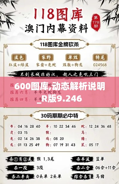 600图库,动态解析说明_R版9.246