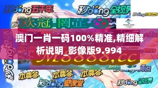 澳门一肖一码100%精准,精细解析说明_影像版9.994