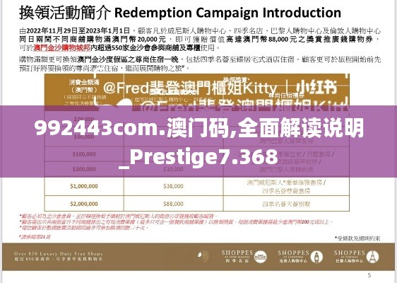 992443com.澳门码,全面解读说明_Prestige7.368