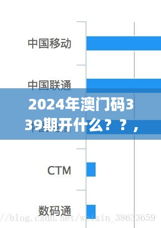 2024年澳门码339期开什么？？,数据导向解析计划_网红版2.449