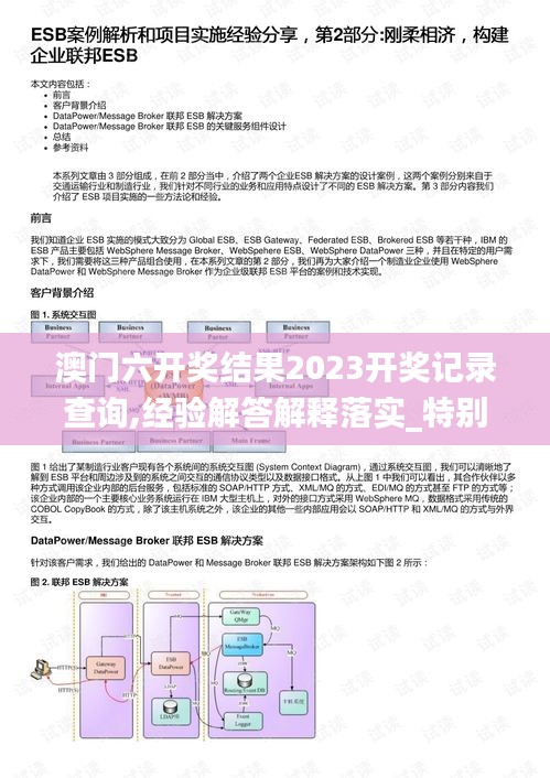 澳门六开奖结果2023开奖记录查询,经验解答解释落实_特别版4.176