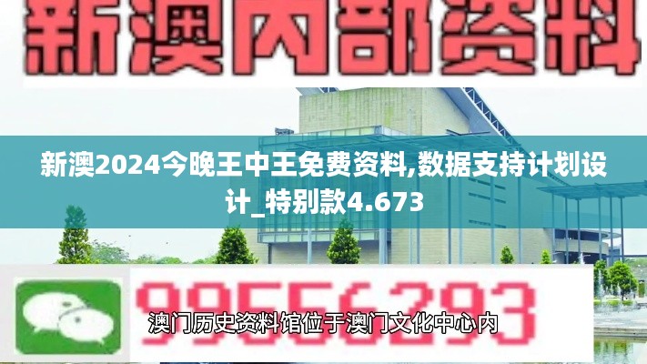 新澳2024今晚王中王免费资料,数据支持计划设计_特别款4.673