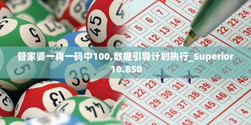 管家婆一肖一码中100,数据引导计划执行_Superior10.850