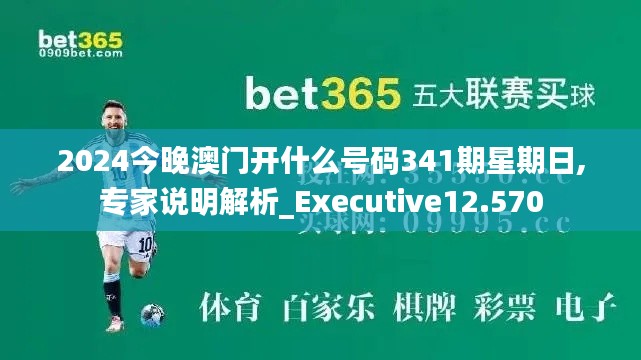 2024今晚澳门开什么号码341期星期日,专家说明解析_Executive12.570