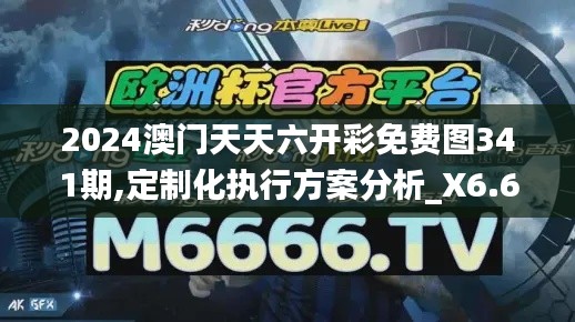 2024澳门天天六开彩免费图341期,定制化执行方案分析_X6.632