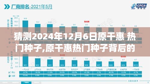 揭秘原干惠热门种子背后的故事，回顾与预测至2024年12月6日的影响与展望