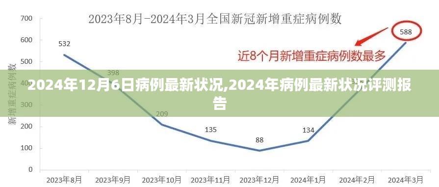 2024年病例最新状况报告，深度解析与评测