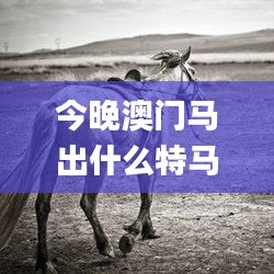 今晚澳门马出什么特马,权威诠释推进方式_Gold8.424