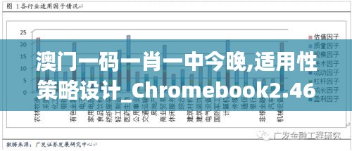 澳门一码一肖一中今晚,适用性策略设计_Chromebook2.468