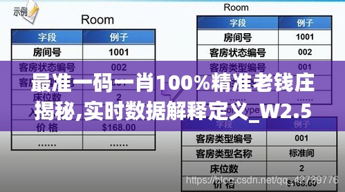 最准一码一肖100%精准老钱庄揭秘,实时数据解释定义_W2.500