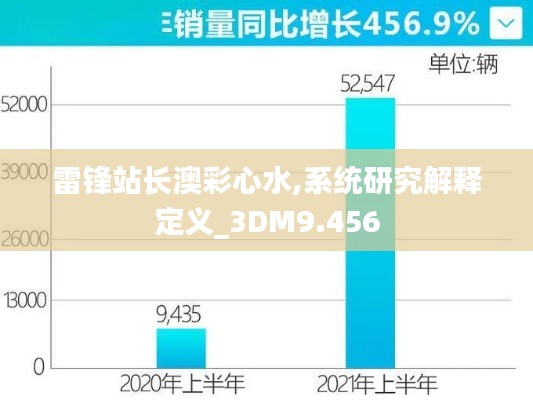 雷锋站长澳彩心水,系统研究解释定义_3DM9.456