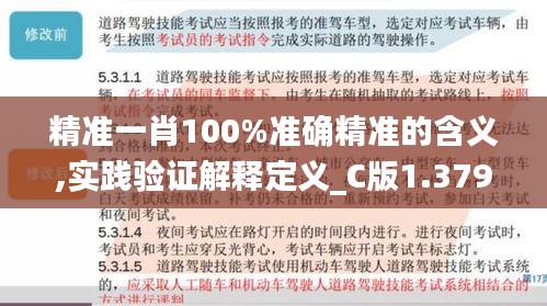 精准一肖100%准确精准的含义,实践验证解释定义_C版1.379