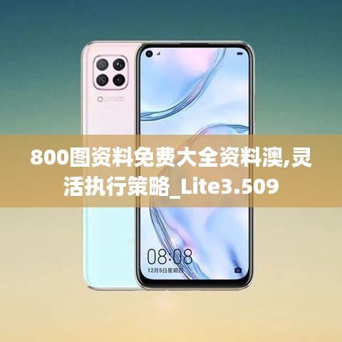 800图资料免费大全资料澳,灵活执行策略_Lite3.509