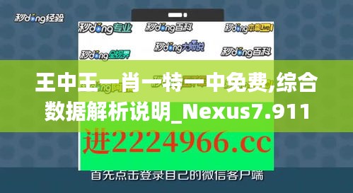 王中王一肖一特一中免费,综合数据解析说明_Nexus7.911