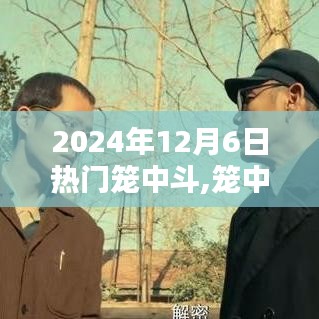 笼中斗趣，2024年12月6日的温馨日常