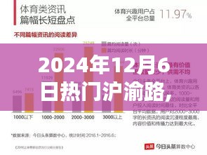 2024年12月6日沪渝路独特魅力深度评测报告