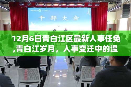 青白江区人事任免揭晓，温情故事中的岁月变迁