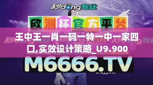 王中王一肖一码一特一中一家四口,实效设计策略_U9.900