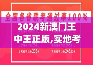 2024新澳门王中王正版,实地考察数据解析_专属版9.393