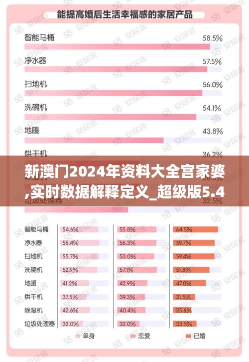 新澳门2024年资料大全宫家婆,实时数据解释定义_超级版5.428