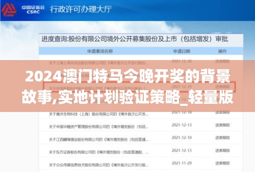 2024澳门特马今晚开奖的背景故事,实地计划验证策略_轻量版8.299