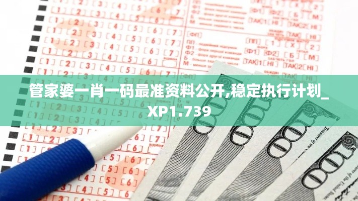 管家婆一肖一码最准资料公开,稳定执行计划_XP1.739