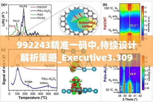 992243精准一码中,持续设计解析策略_Executive3.309