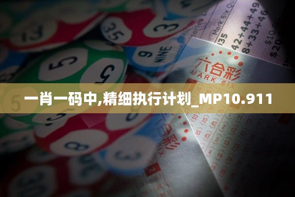 一肖一码中,精细执行计划_MP10.911