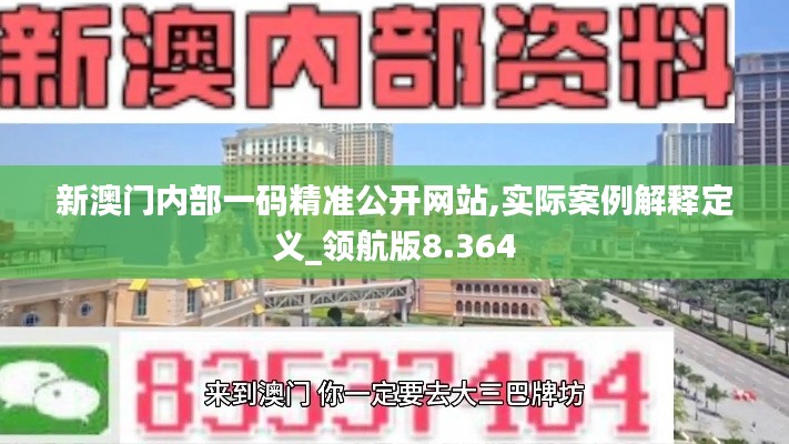 新澳门内部一码精准公开网站,实际案例解释定义_领航版8.364