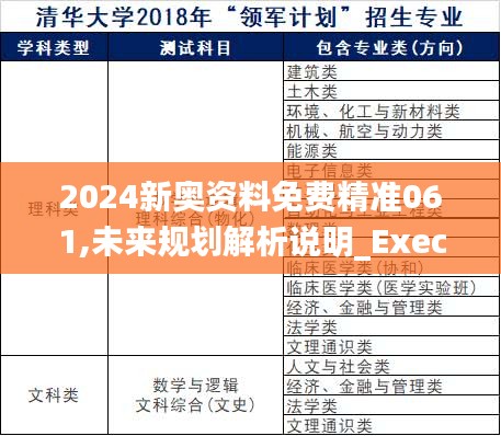 2024新奥资料免费精准061,未来规划解析说明_Executive13.830