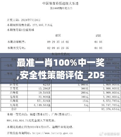 最准一肖100%中一奖,安全性策略评估_2D5.339