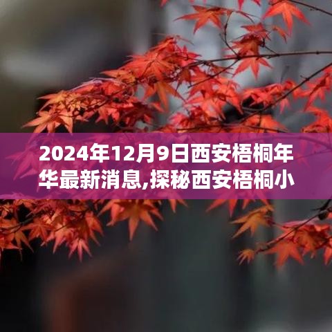 2024年12月9日西安梧桐年华最新消息,探秘西安梧桐小巷，一家隐藏于岁月静好之处的特色小店