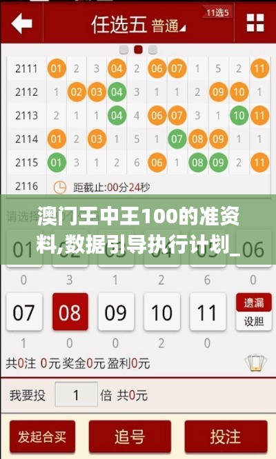 澳门王中王100的准资料,数据引导执行计划_豪华款10.875