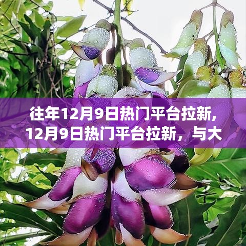 反朴还淳 第2页