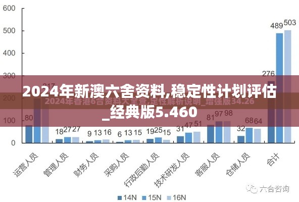 2024年新澳六舍资料,稳定性计划评估_经典版5.460