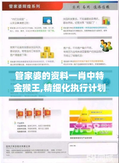 管家婆的资料一肖中特金猴王,精细化执行计划_定制版1.685