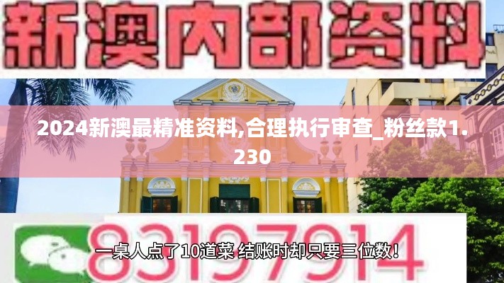 2024新澳最精准资料,合理执行审查_粉丝款1.230