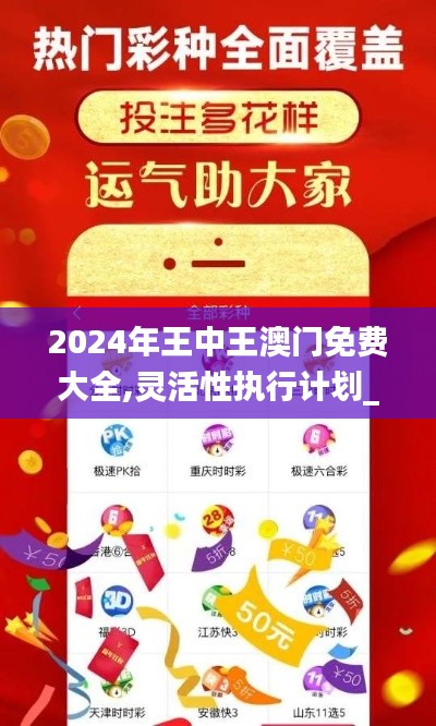 2024年王中王澳门免费大全,灵活性执行计划_VE版3.867