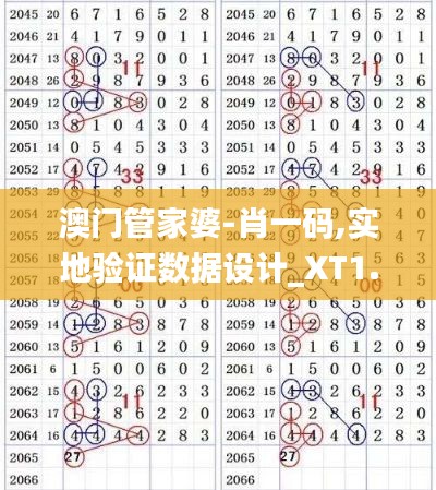 澳门管家婆-肖一码,实地验证数据设计_XT1.283