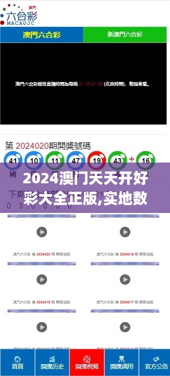 2024澳门天天开好彩大全正版,实地数据验证分析_安卓版2.430