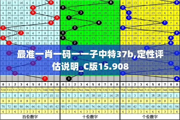 最准一肖一码一一子中特37b,定性评估说明_C版15.908